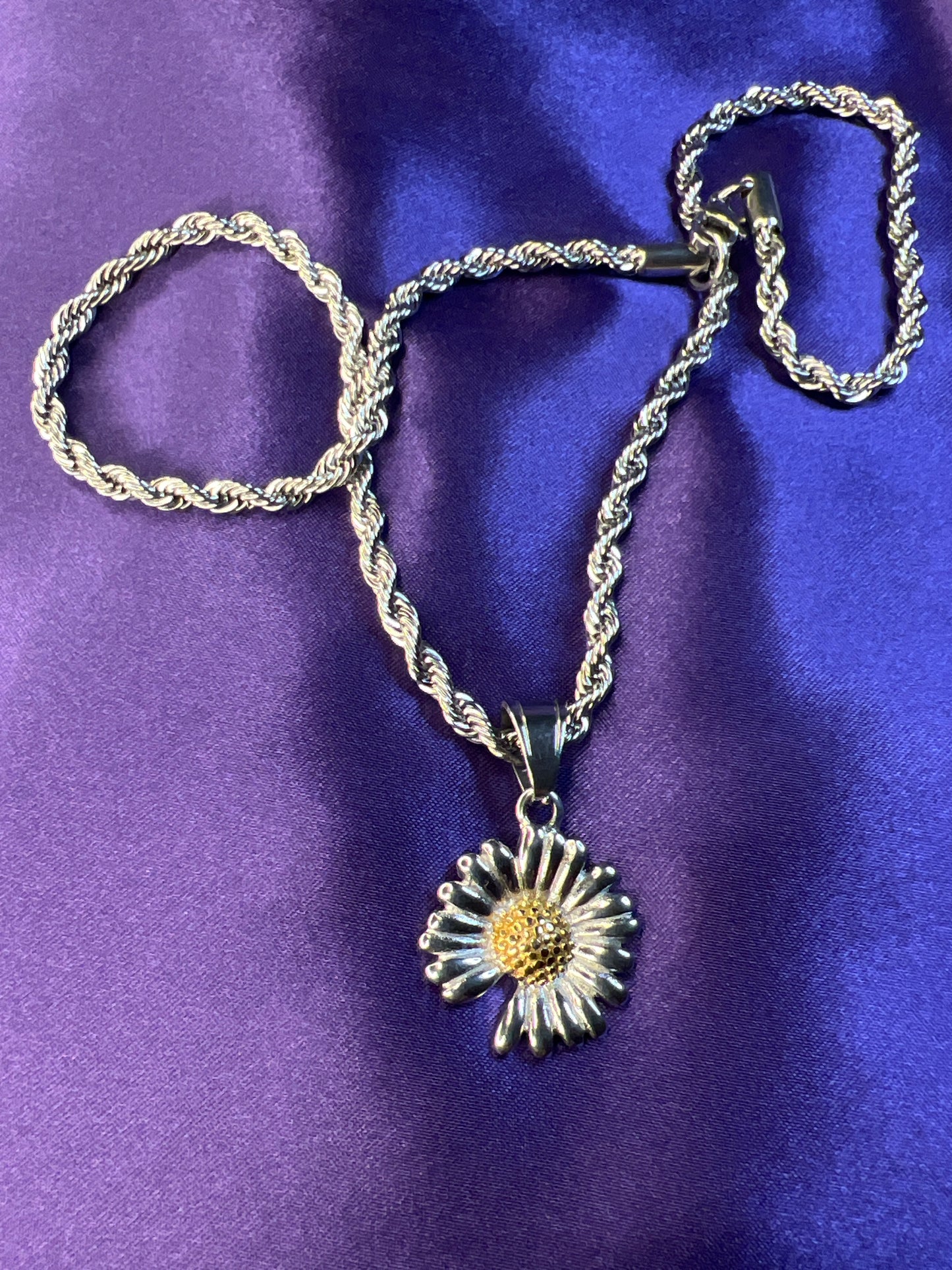 Silver Daisy Petals in The Wind